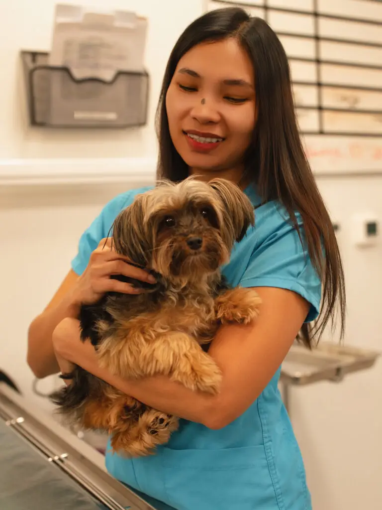 Services at Faithful Friends Animal Hospital Ave Maria Florida